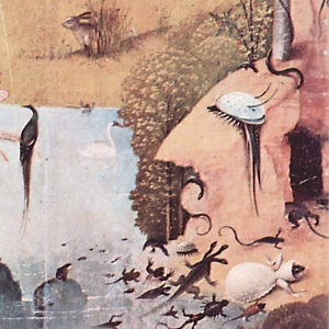 Hieronymus Bosch